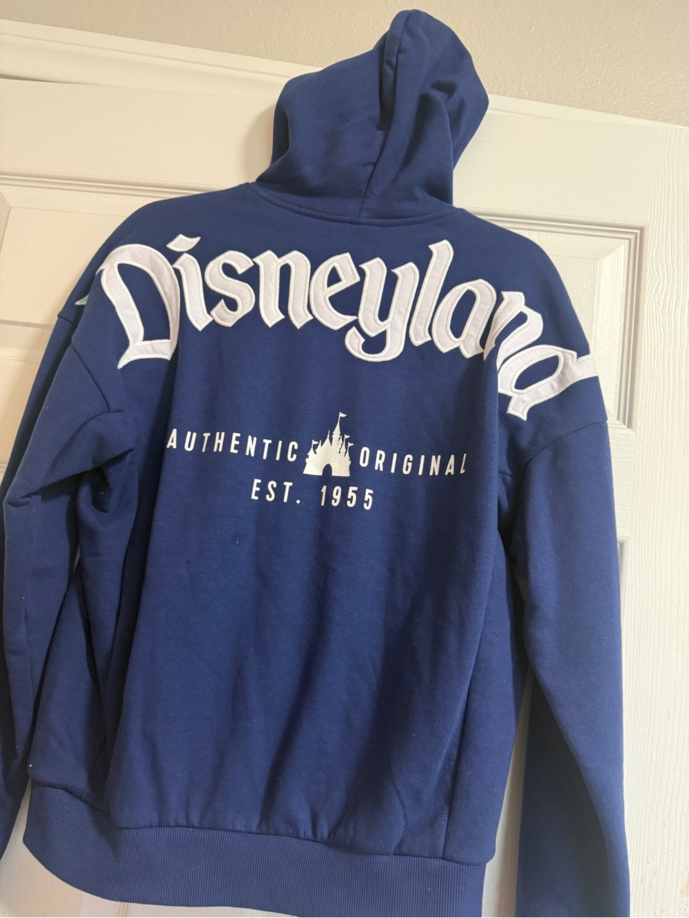 Blue Disneyland Zip-Up Hoodie